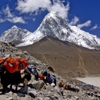 Everest Base Camp Kalapathhar Trekking